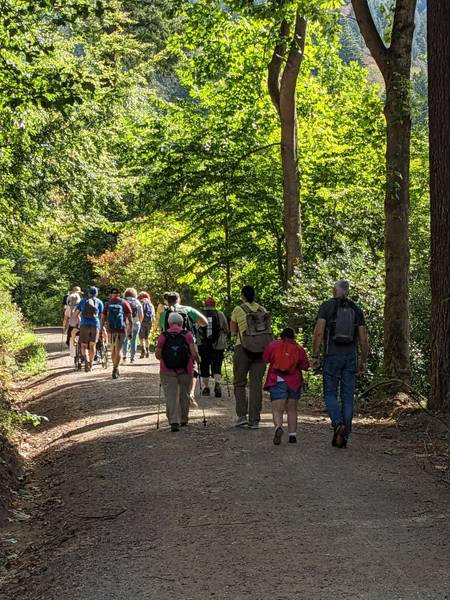 Die Gruppe der Inklusiven Pilgerwanderung 2026 wandert durch den Wald.